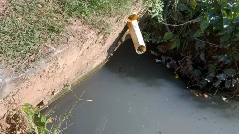 Quilombo em Cabo Frio: A Luta Urgente Contra o Esgoto!