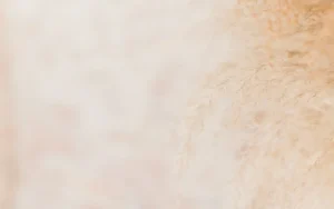 Crédito: Hannah MacLean via Unsplash