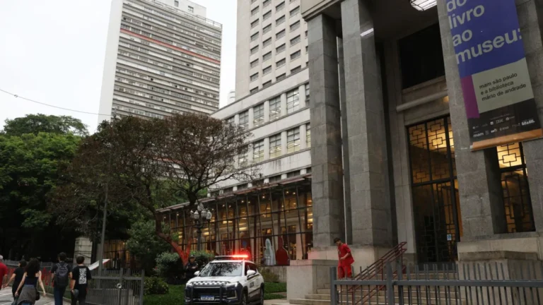 Mulher detida por roubo de obras: o que ninguém te contou!