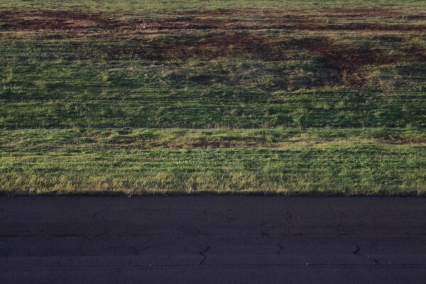 Green field next to a dark road.