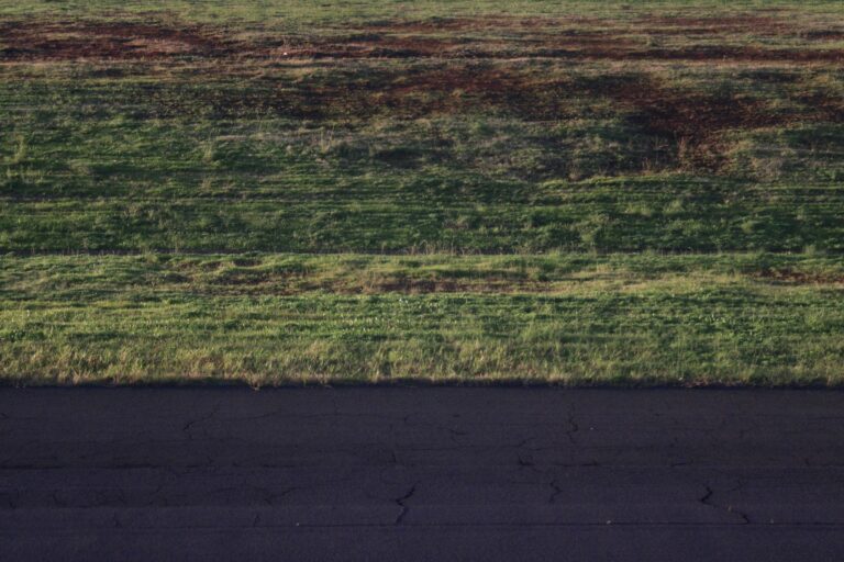 Green field next to a dark road.