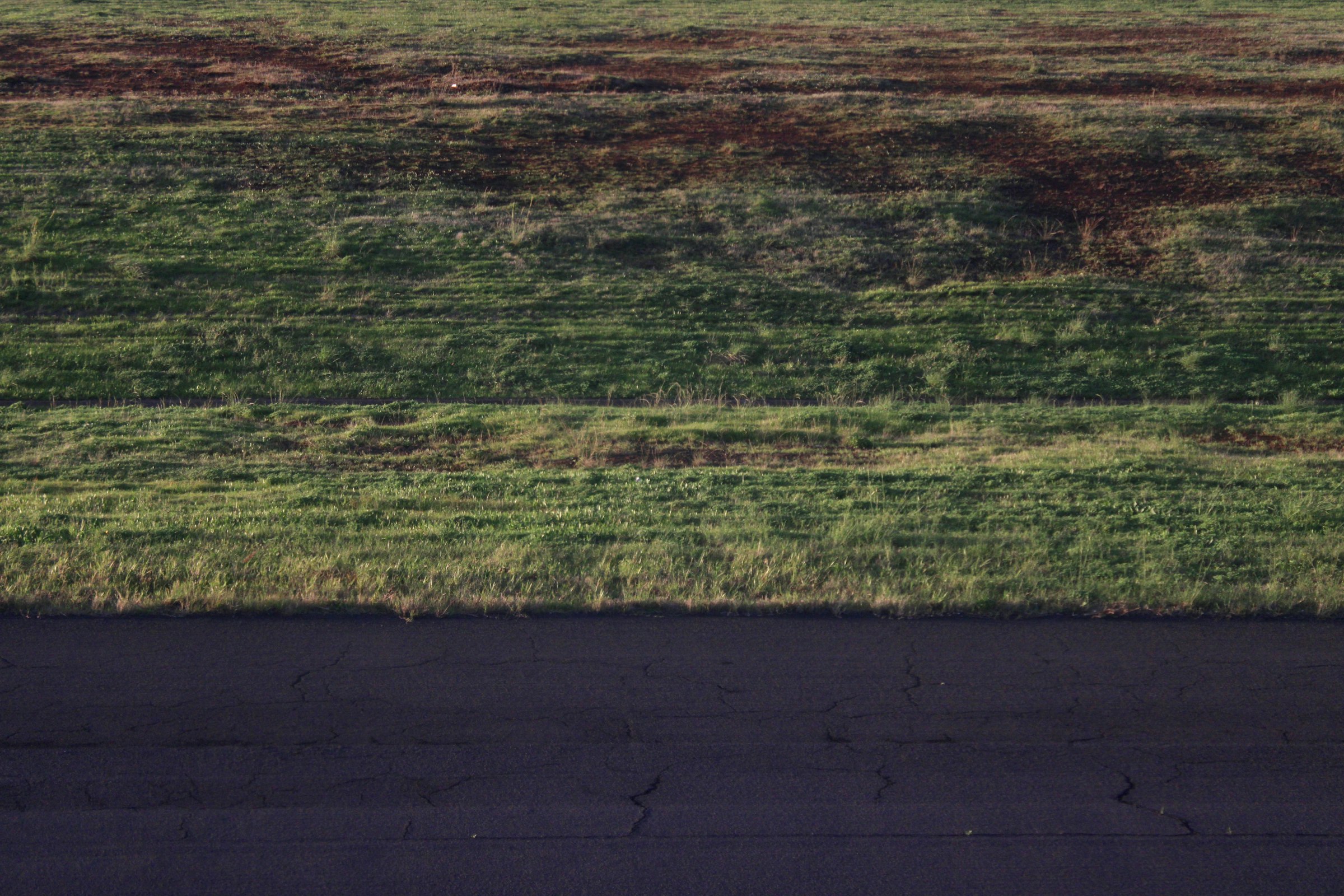 Green field next to a dark road.