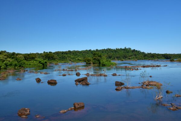 a body of water surrounded by trees and rocks