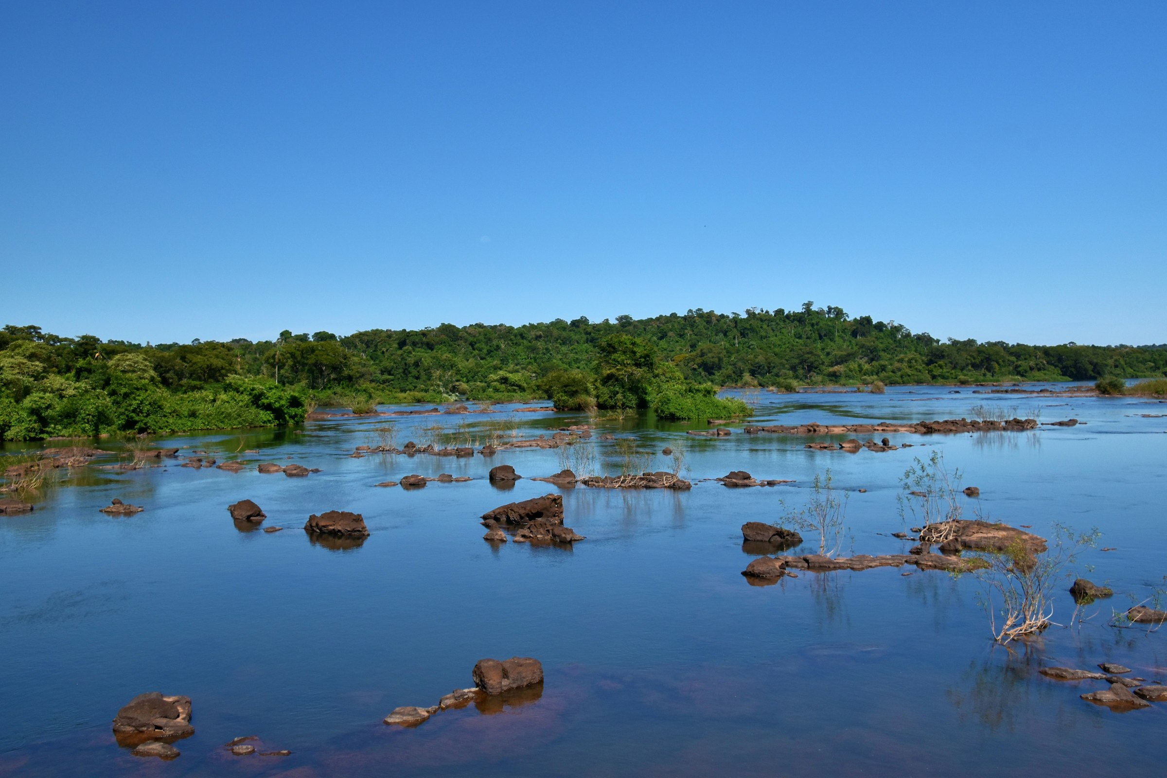 a body of water surrounded by trees and rocks