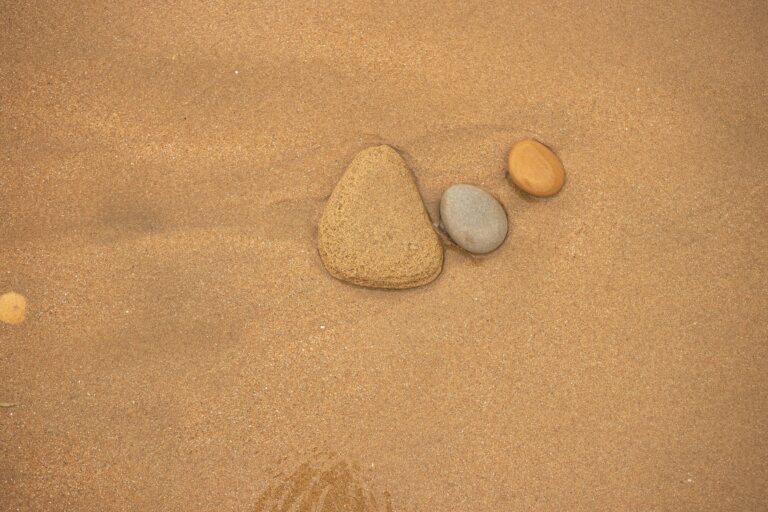 white and brown stones on brown sand