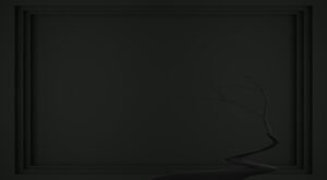 a black and white photo of a vase with a plant in it