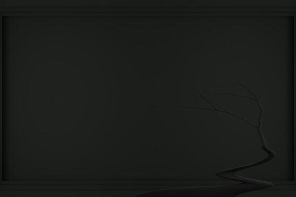 a black and white photo of a vase with a plant in it