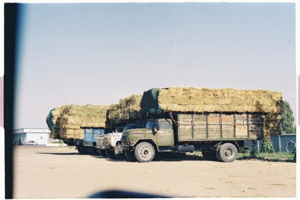 Trucks carry hay bales in a sunny parking lot.