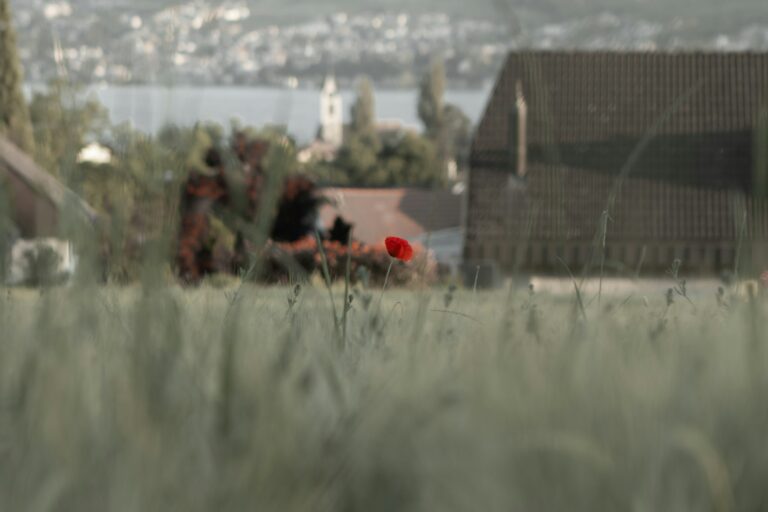 Battlefield 6: perda de 650 mil jogadores em poucas semanas levanta preocupações