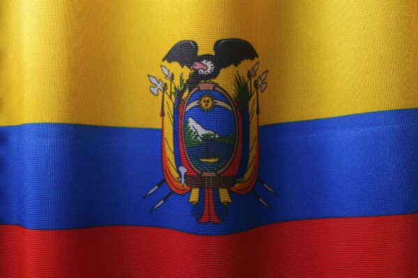 the flag of the state of venezuela