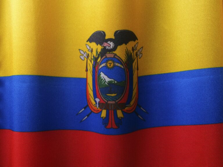 the flag of the state of venezuela