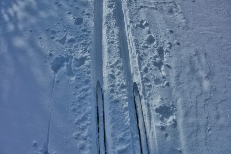a pair of skis that are in the snow