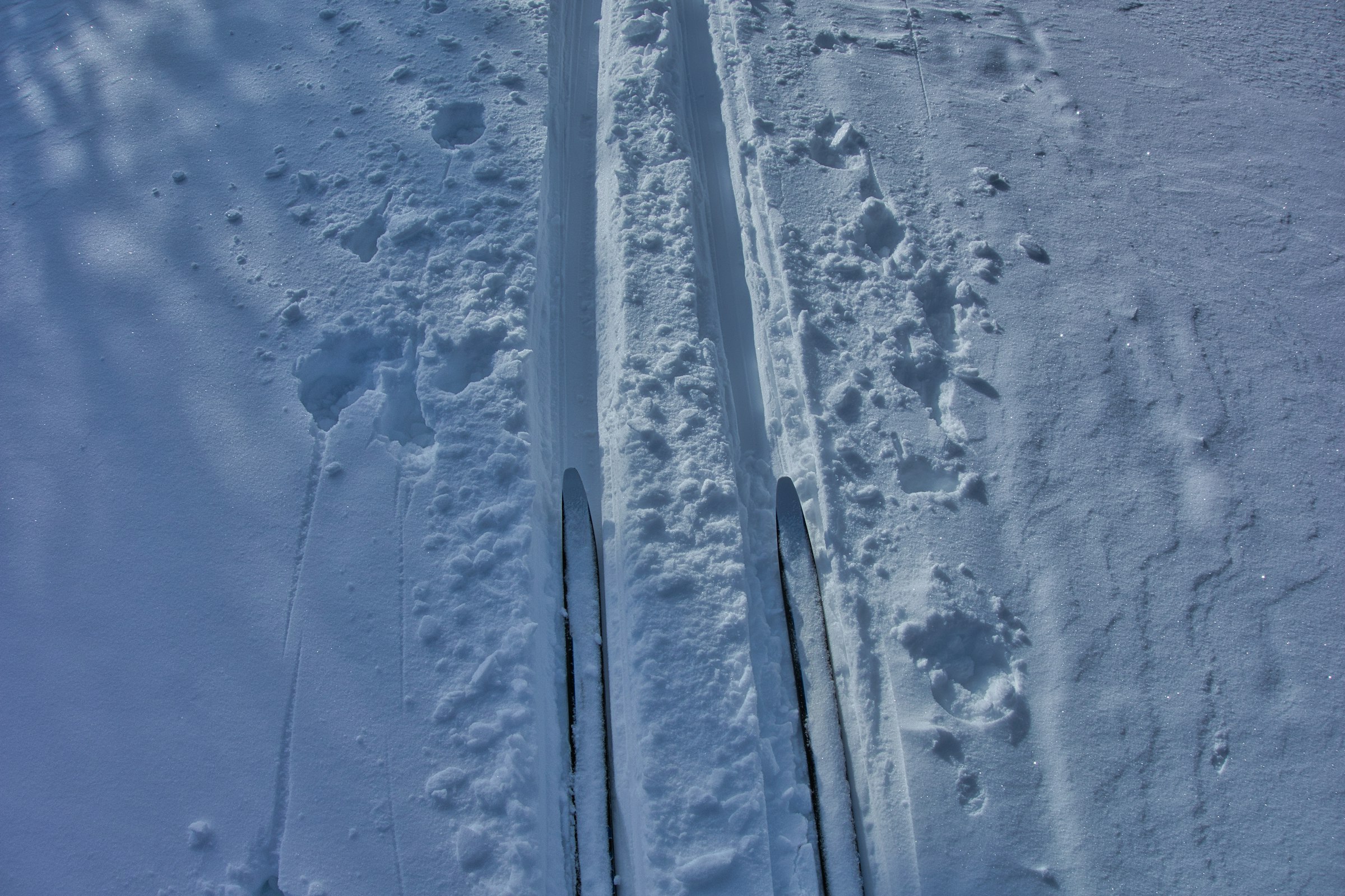 a pair of skis that are in the snow