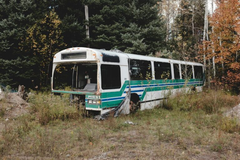 Acidente na Copinha: preparador físico do águia morre