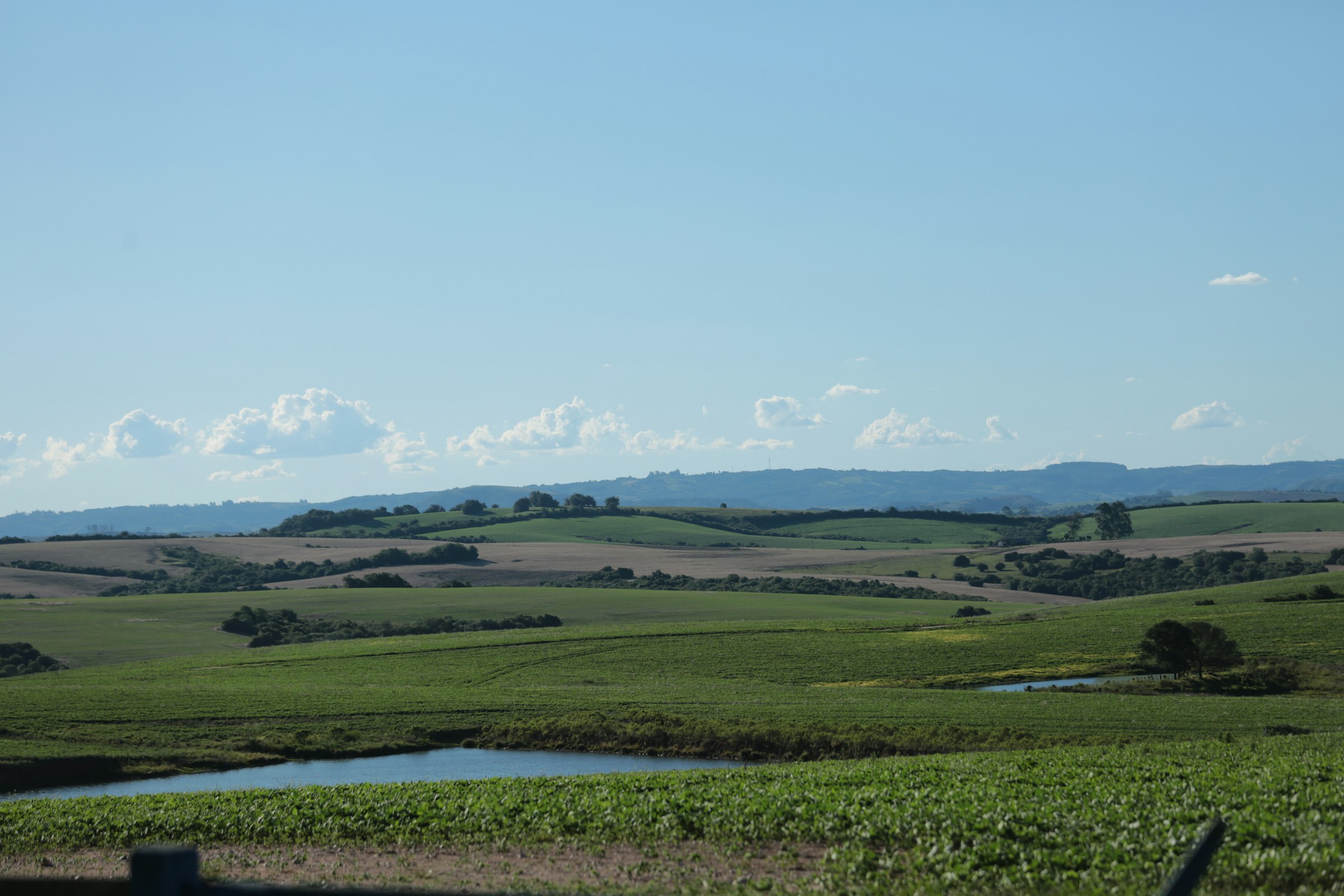 A view of a grassy field with a river running through it