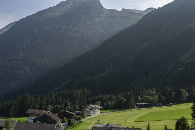 Ceará e tirol se enfrentam no campeonato cearense 2026: transmissão ao vivo pela tv brasil