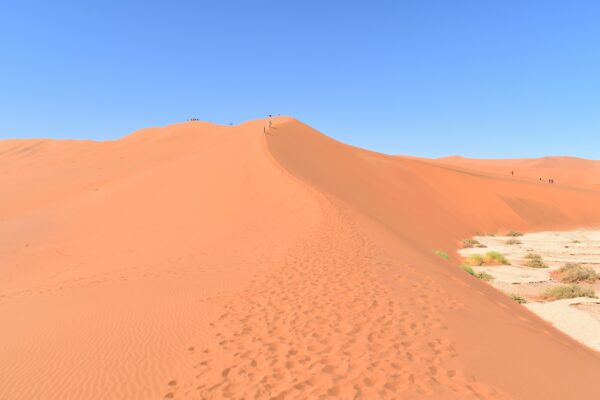 dessert during daytime