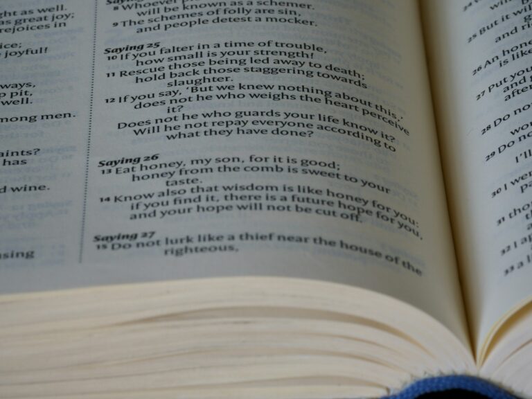 Prazo para contestação do selo alfabetização termina amanhã