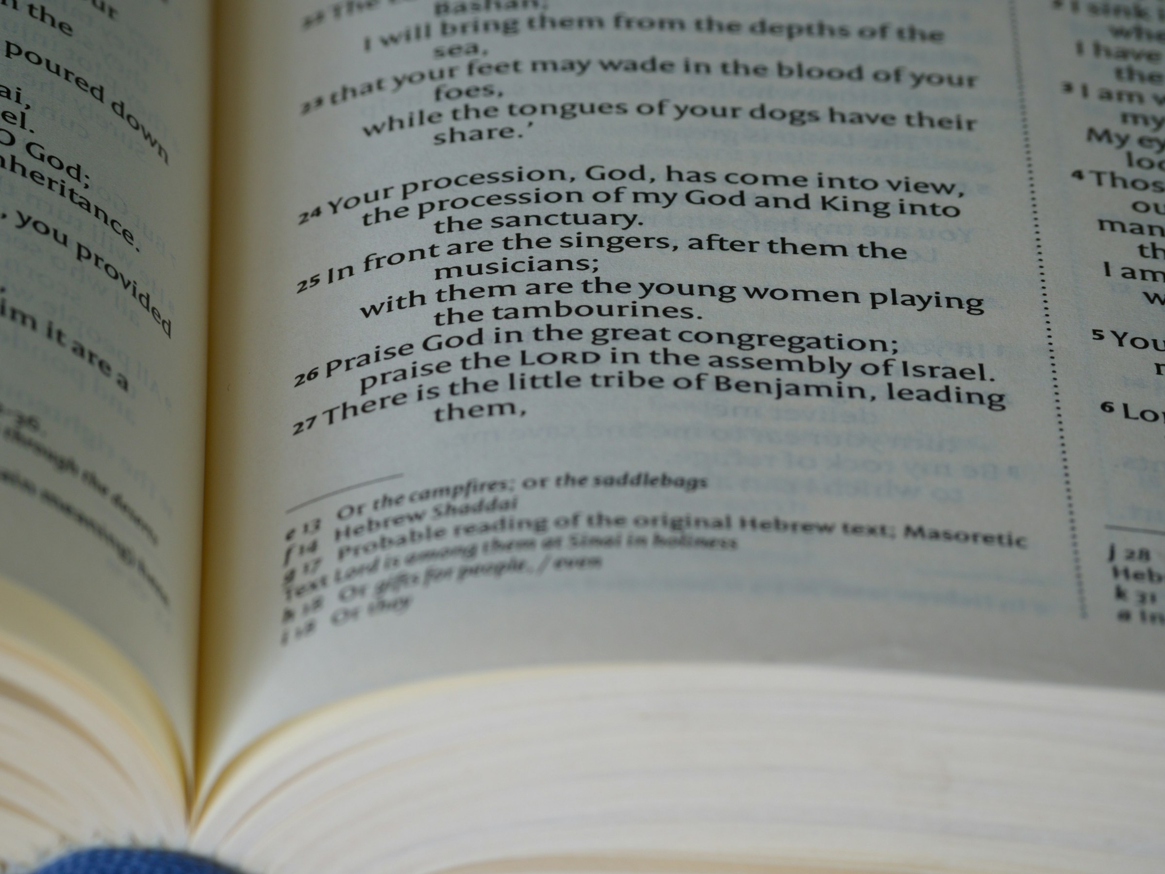 a close up of a book with an open page