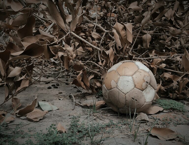 a soccer ball sitting on the ground surrounded by leaves