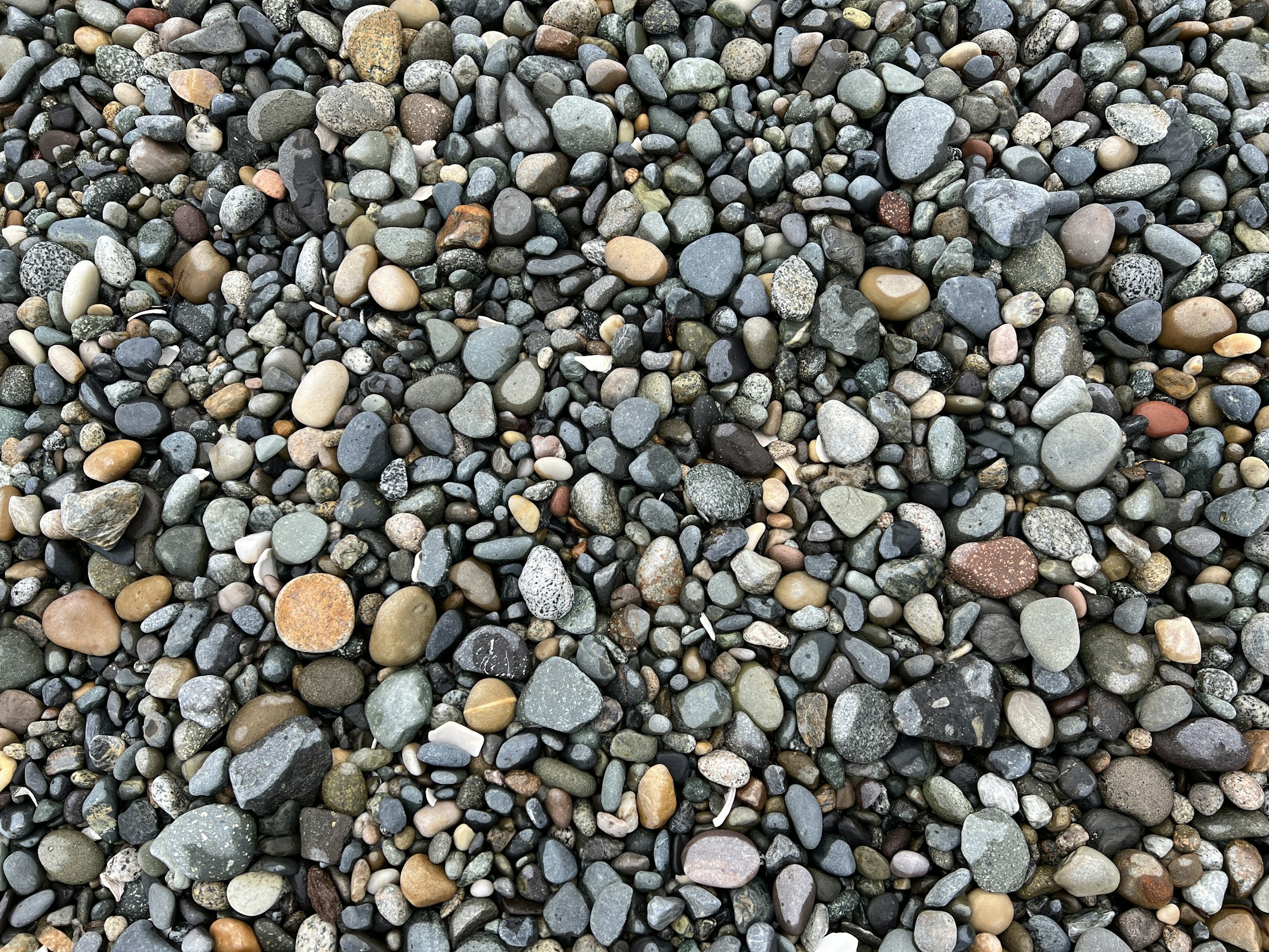a large group of rocks