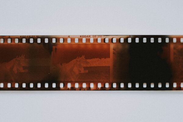 black and brown wooden frame