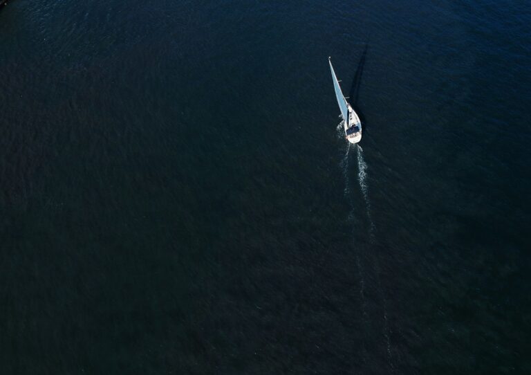 Adolescente de 13 anos morre após ataque de tubarão em olinda