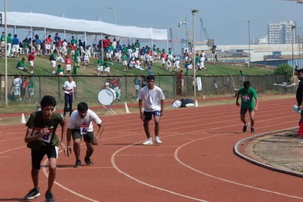 Inscrições abertas para Pé-de-Meia Licenciaturas 2026