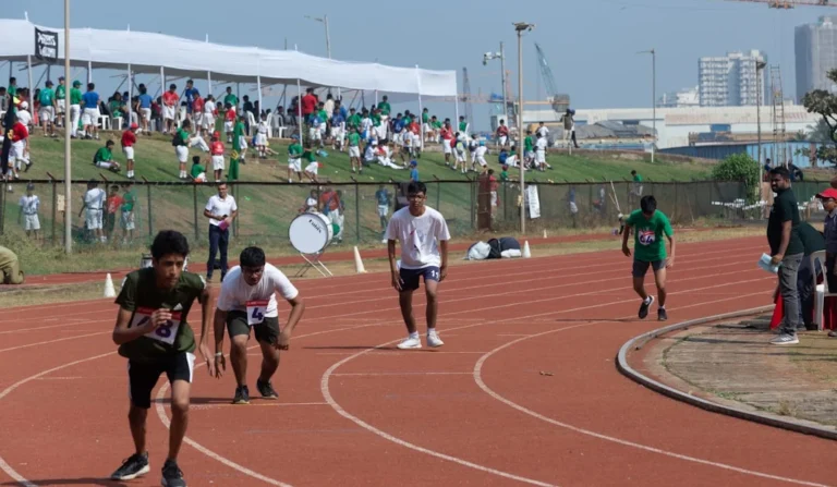 Inscrições abertas para Pé-de-Meia Licenciaturas 2026