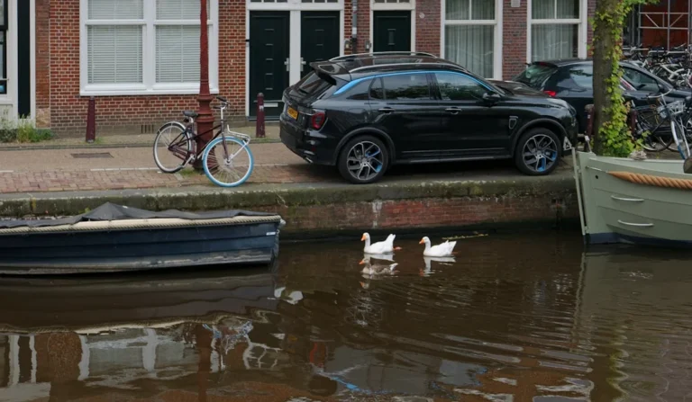 Chuvas fortes devastam Palmeira das Missões no rs