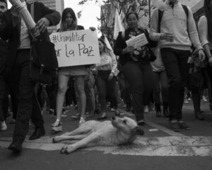 Protesto na Paulista exige justiça para o cão Orelha