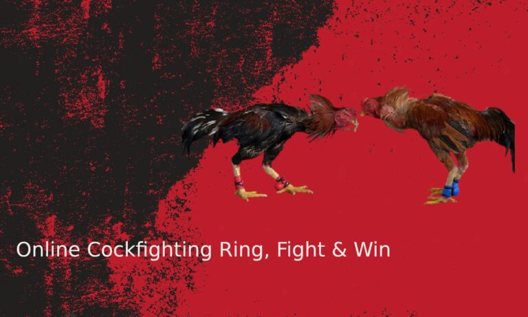 Descontos imperdíveis em jogos de luta na promoção de ano novo da ps store