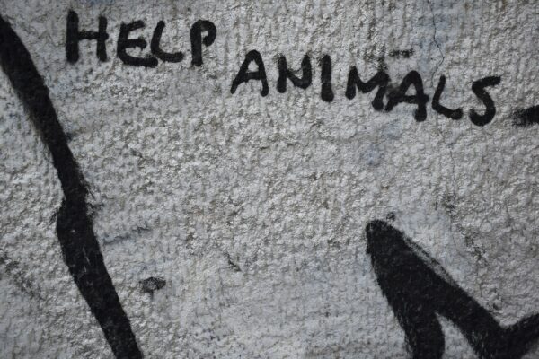 a wall that has some writing on it