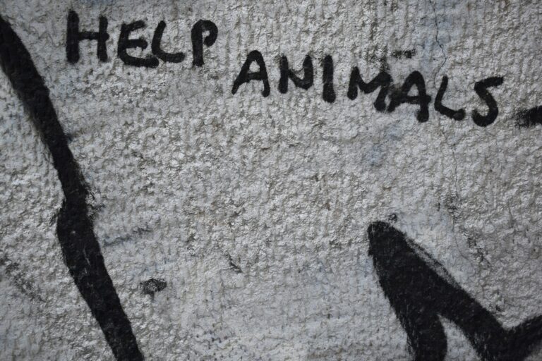 a wall that has some writing on it