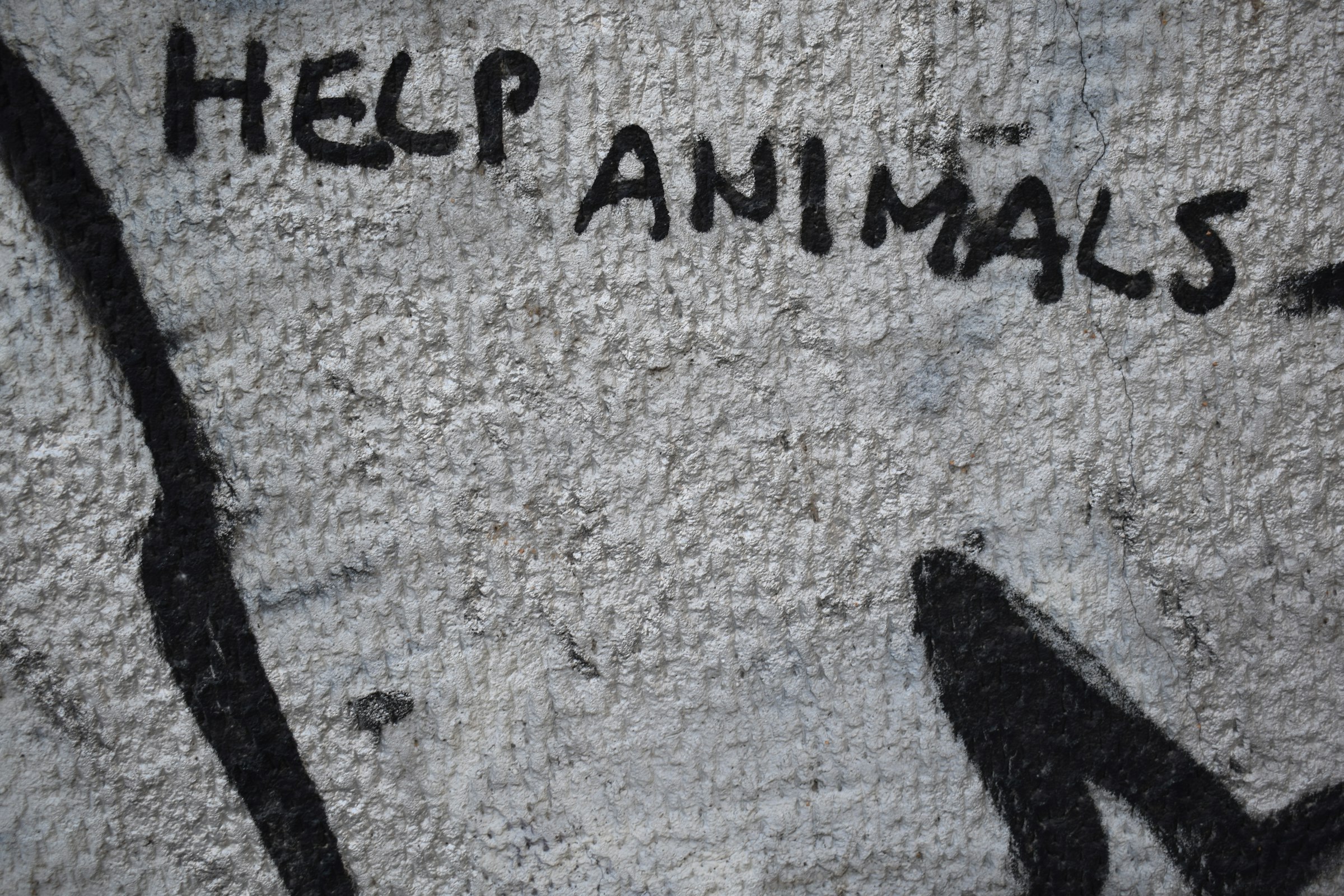 a wall that has some writing on it