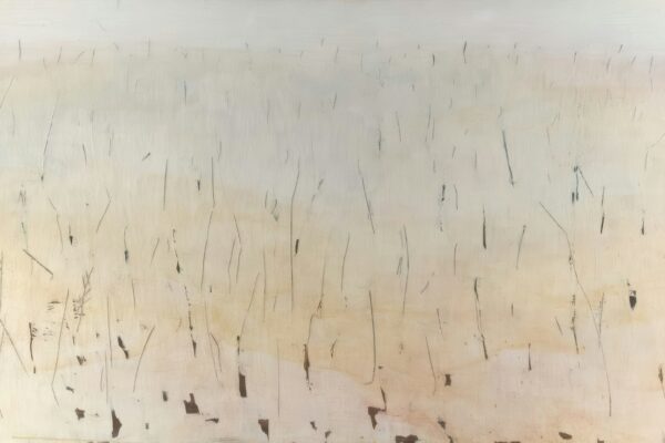 Title: Heinamaa Creator: Lõhmus, Eda (autor) Date: 2003 Providing institution: Tartu Art Museum Aggregator: Estonian e-Reposi