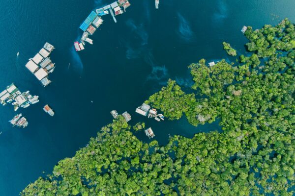 aerial view of houses on body of water