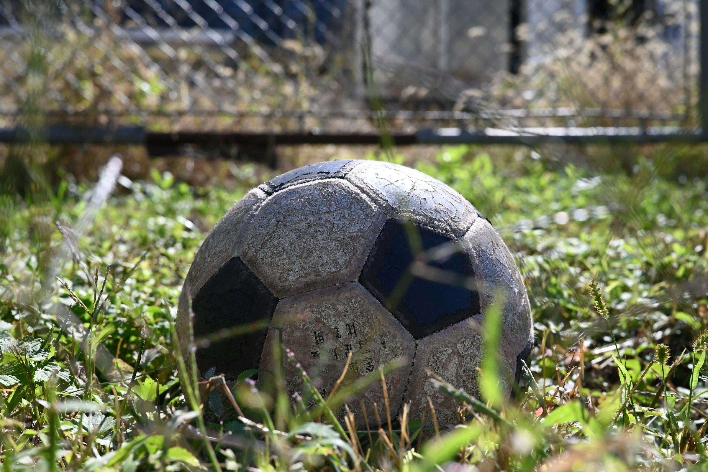 A worn soccer ball rests in overgrown grass.