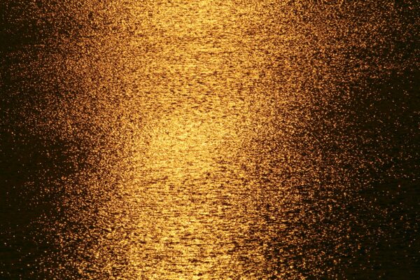 brown and black fur textile