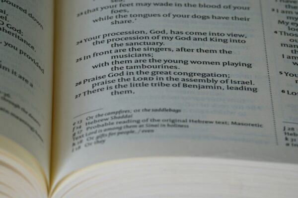 a close up of a book with an open page