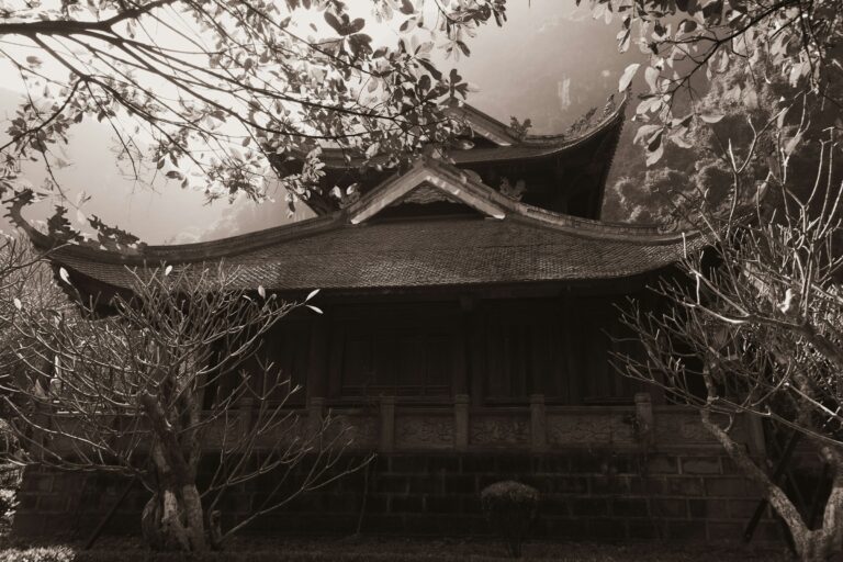 A traditional asian temple roof with trees.