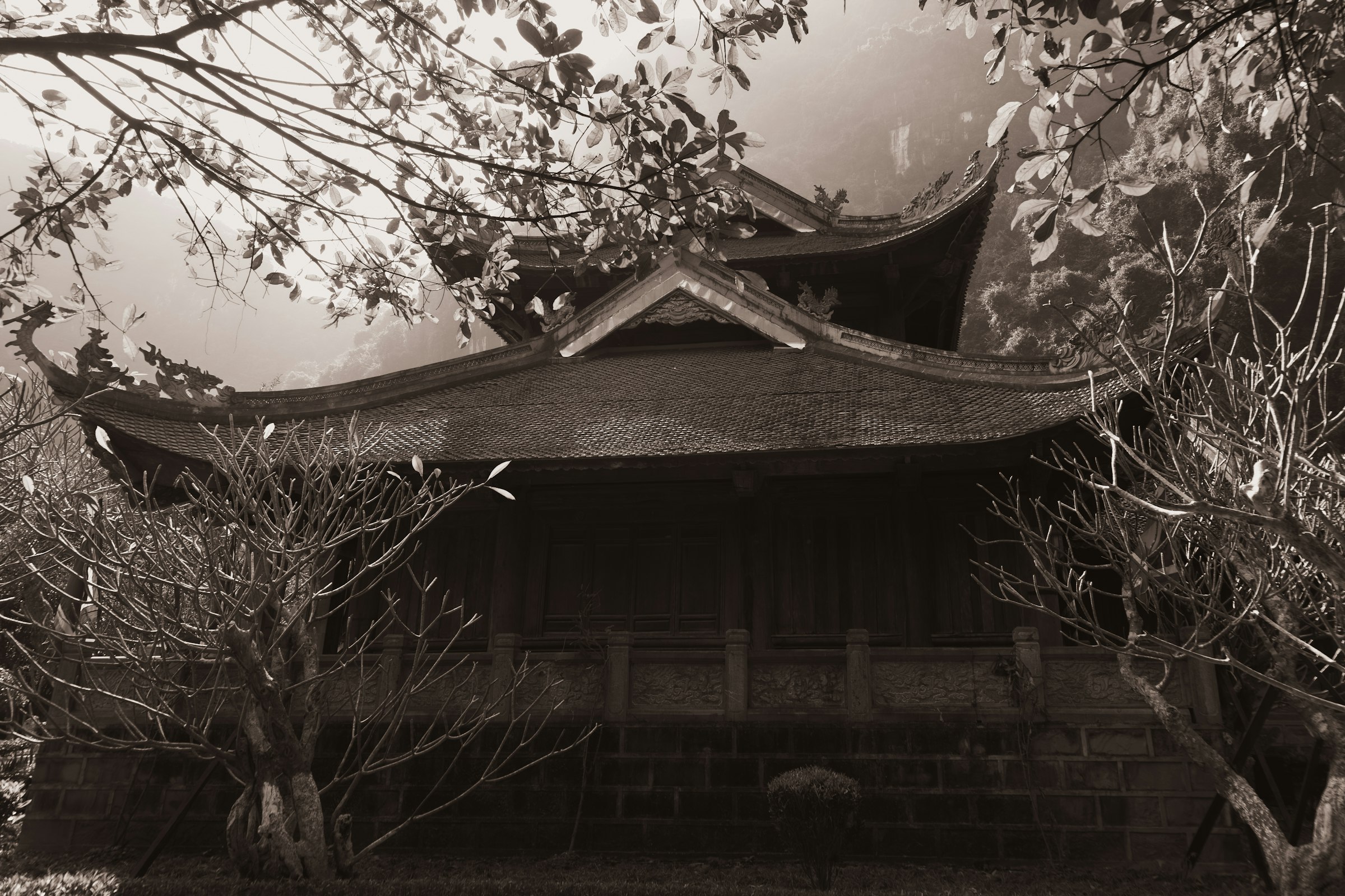 A traditional asian temple roof with trees.