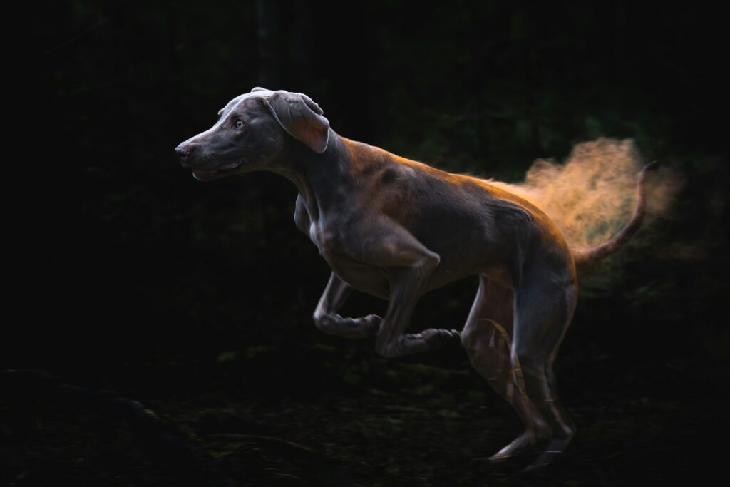 Beast of Reincarnation chega em agosto para PS5 e Xbox