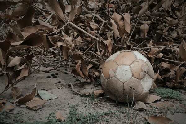 a soccer ball sitting on the ground surrounded by leaves