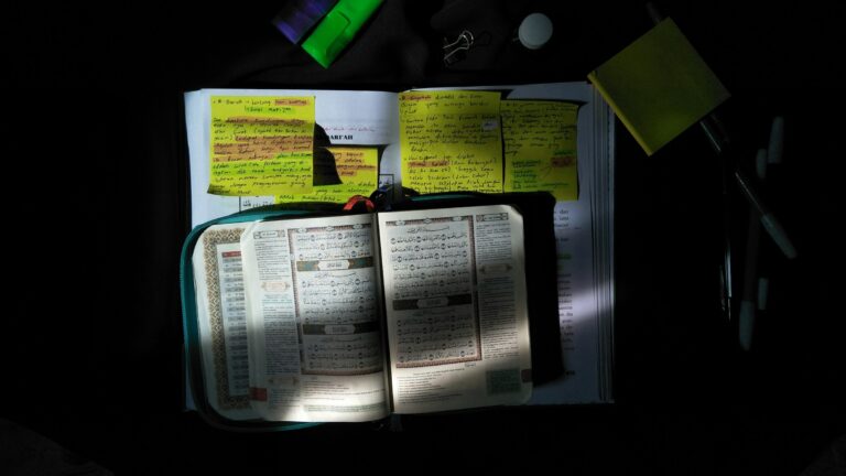 MEC inicia cadastro para bolsas do Pé-de-Meia 2026