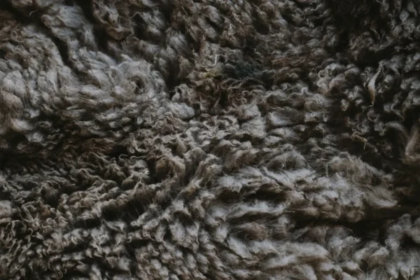 Noridogam lança álbum "truthbuster" com temas