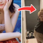 Ídolos de k-pop em festa privada: vídeo vazado choca fãs