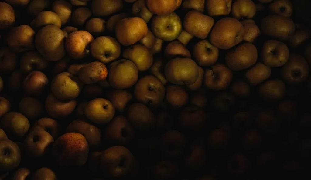 Críticas a Liz do IVE: a pressão estética nunca acaba