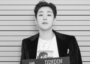 Dindin