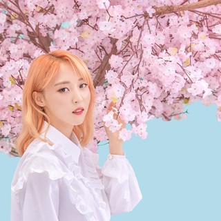 moonbyul Perfis I9 Artigos